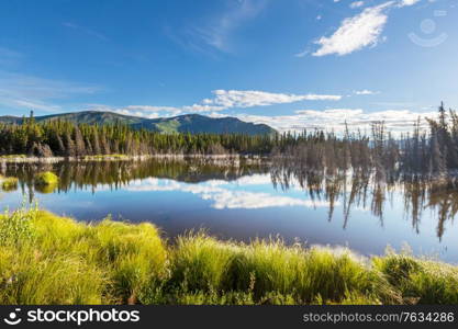 Serenity lake in Alaskan tundra