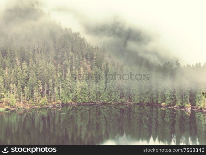 Serenity lake in the mountains in summer season. Beautiful natural landscapes.