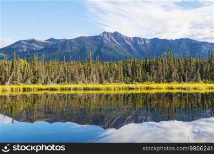 Serenity lake in tundra in Alaska