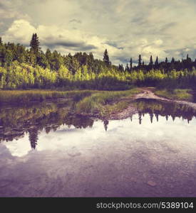 Serenity lake in tundra on Alaska