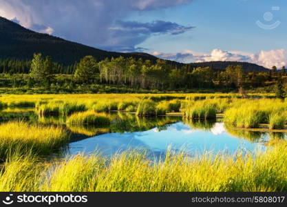 Serenity lake in tundra on Alaska