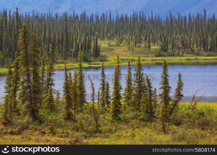 Serenity lake in tundra on Alaska