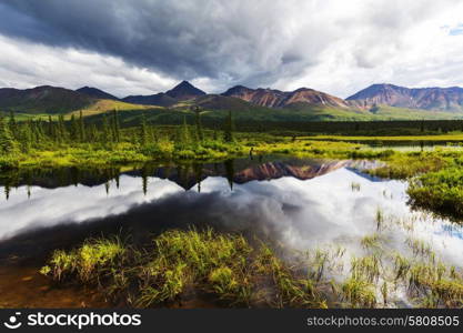 Serenity lake in tundra on Alaska