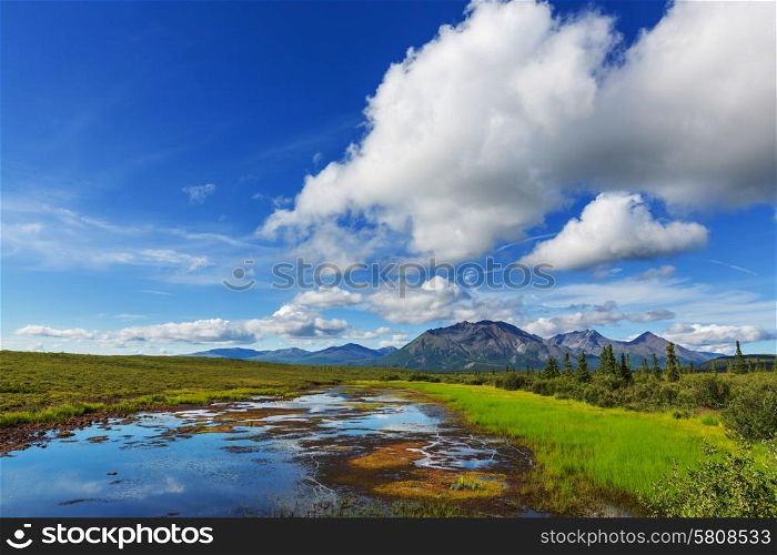 Serenity lake in tundra on Alaska