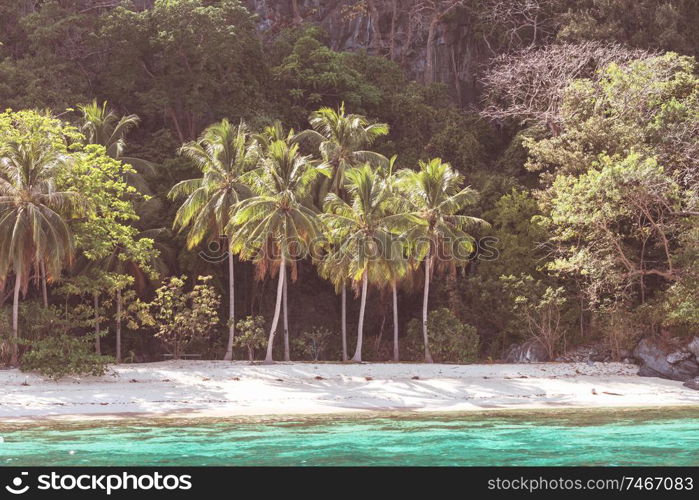 Serenity on the tropical beach