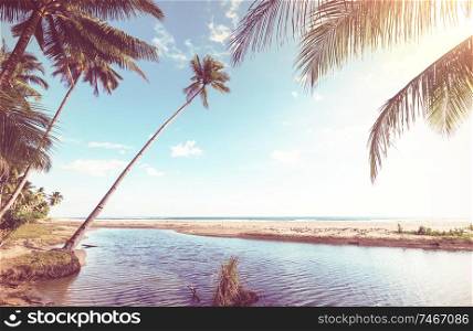 Serenity on the tropical beach