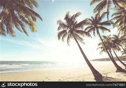 Serenity on the tropical beach