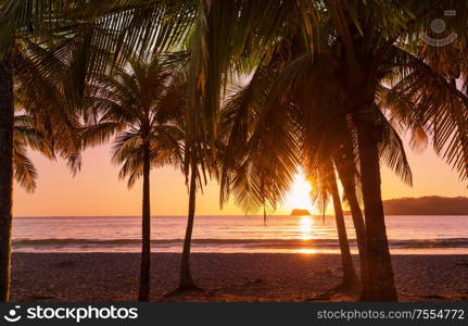 Serenity on the tropical beach