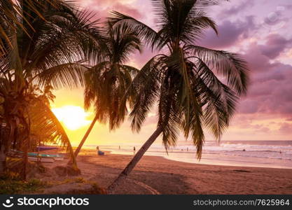 Serenity on the tropical beach