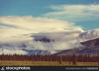 Serenity sunrise scene on Denali highway