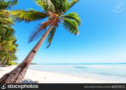 Serenity tropical beach