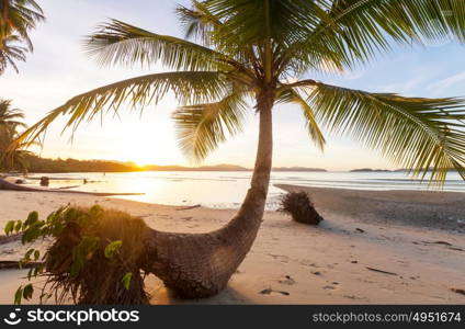 Serenity tropical beach