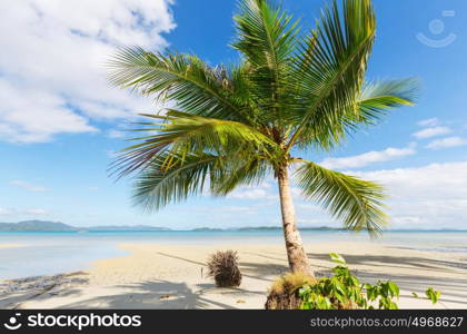 Serenity tropical beach