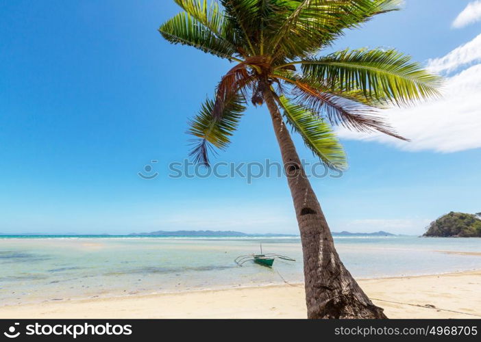 Serenity tropical beach