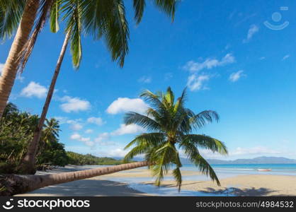 Serenity tropical beach