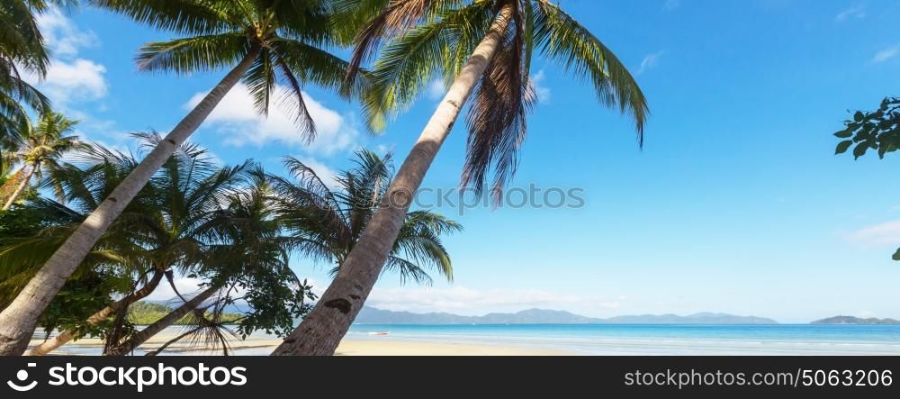 Serenity tropical beach