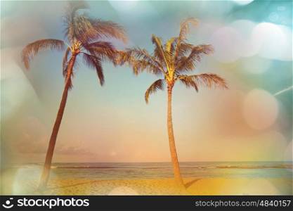 Serenity tropical beach, Instagram filter