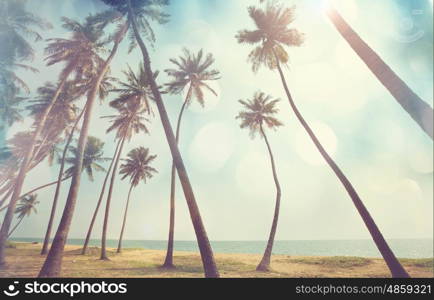 Serenity tropical beach, Instagram filter