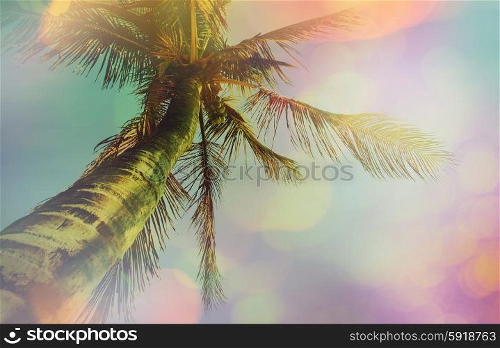 Serenity tropical beach, instagram filter