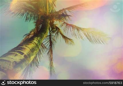 Serenity tropical beach, instagram filter