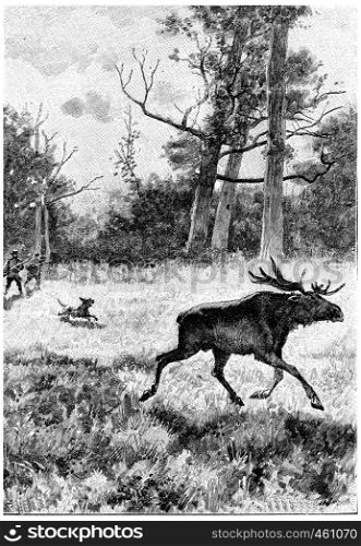 Serge and Jean did not neglect to hunt, vintage engraved illustration. Jules Verne Cesar Cascabel, 1890.