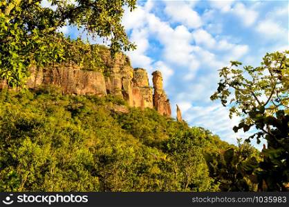 Serra do Roncador is a region located in the most central point of Brazil, in the state of Mato Grosso.