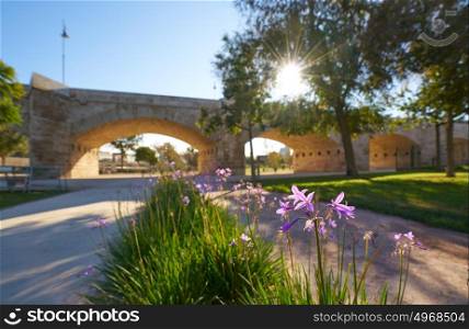 Serrano bridge in Valencia in Turia park at Spain spring flowers foreground