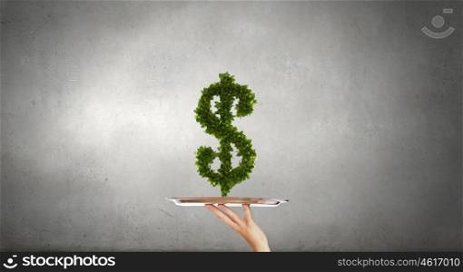 Serve money concept. Hand of waiter holding tray with green dollar