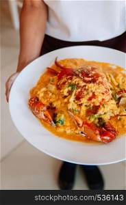 Server holding white plate of Spicy delicious Thai Crab yellow curry creamy sauce.