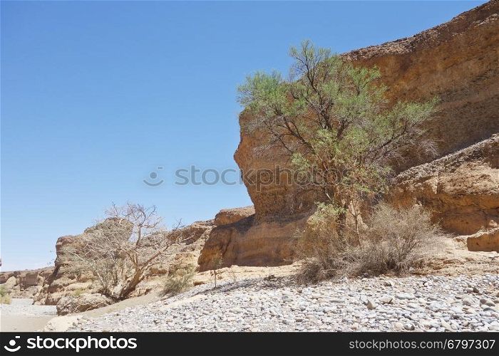 Sesriem Canyon near Sossusvlei in Namibia