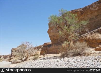 Sesriem Canyon near Sossusvlei in Namibia