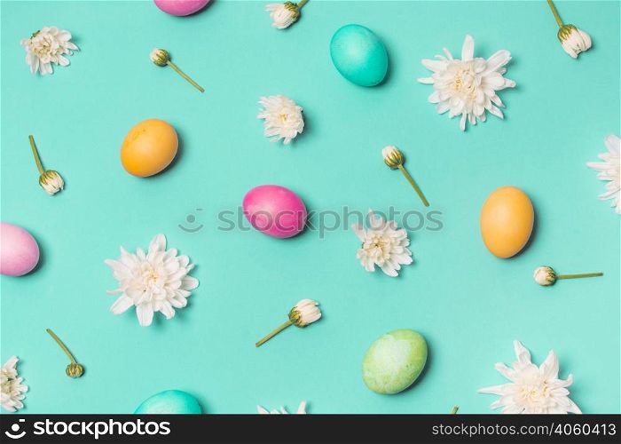 set bright eggs flower buds