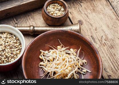 Set dry green bean and sprouts moong or mung. Mung beans on wooden table