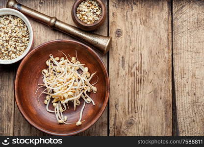 Set dry green bean and sprouts moong or mung. Mung beans on wooden table