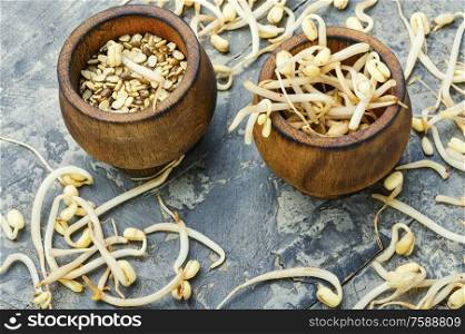 Set dry green bean and sprouts moong or mung. Sprout whole mung dal