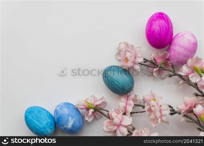 set easter eggs fresh flower twigs