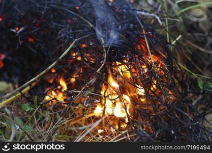 Set fire to dry grass. A charred patch of grass against a background of fresh green shoots. Fire in the forest.