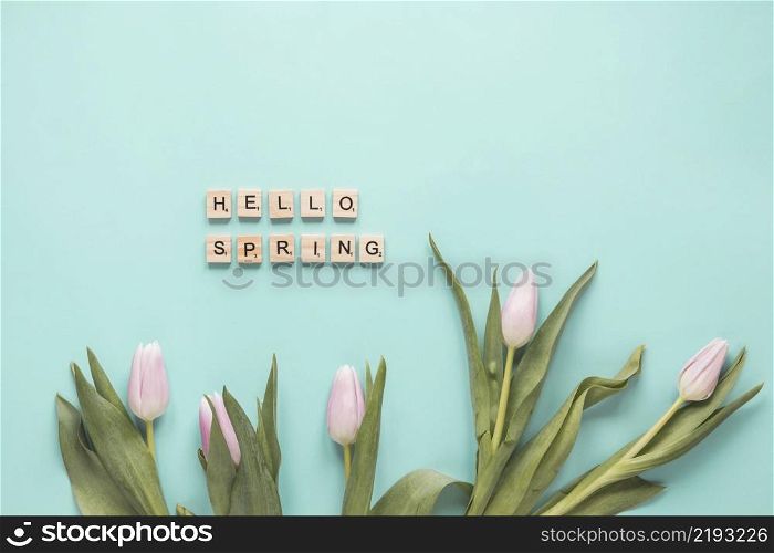 set fresh tulips with green leaves hello spring words