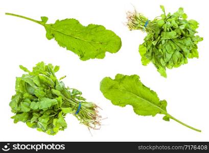 set from green caucasian cress (tsitsmati) herbs isolated on white background