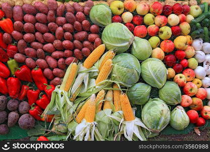 set fruit on rural market