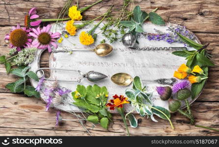 Set healthy herbs. healing herbs, plants and flower on wooden background.