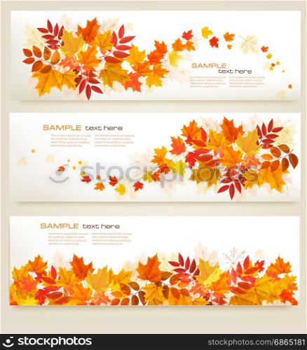 Set of abstract autumn banners with colorful leaves Vector