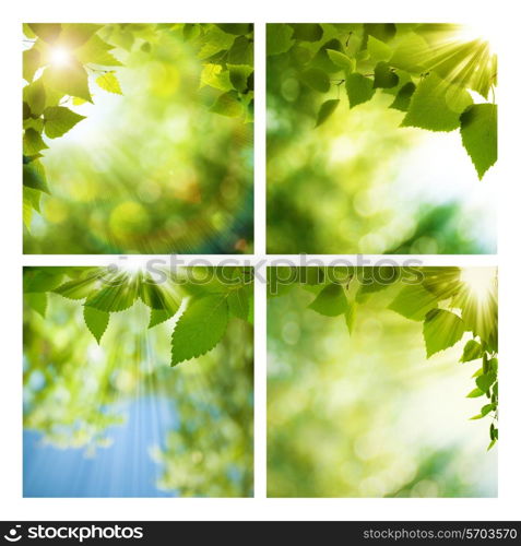 Set of assorted abstract seasonal backgrounds for your design