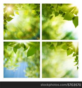 Set of assorted abstract seasonal backgrounds for your design