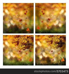 Set of assorted autumnal seasonal backgrounds for your design