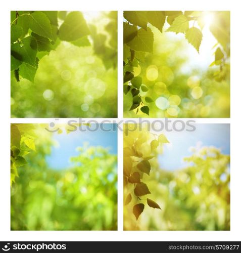 Set of assorted summer backgrounds with green foliage and beauty bokeh