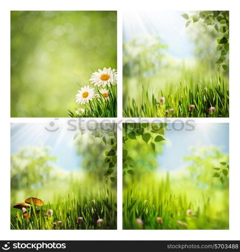 Set of assorted summer natural backgrounds for your design