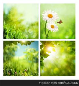 Set of assorted summer natural backgrounds for your design