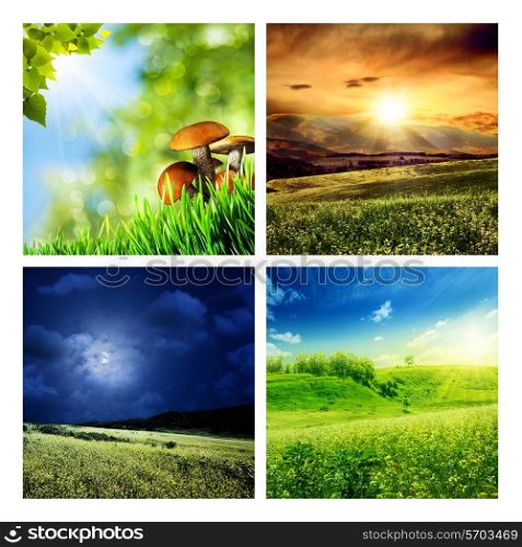 Set of assorted summer seasonal backgrounds for your design