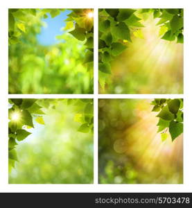 Set of assorted summer seasonal backgrounds for your design